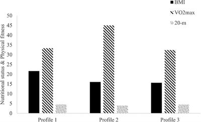 Association between nutritional status, physical fitness and executive functions in preadolescents: A person-centered approach